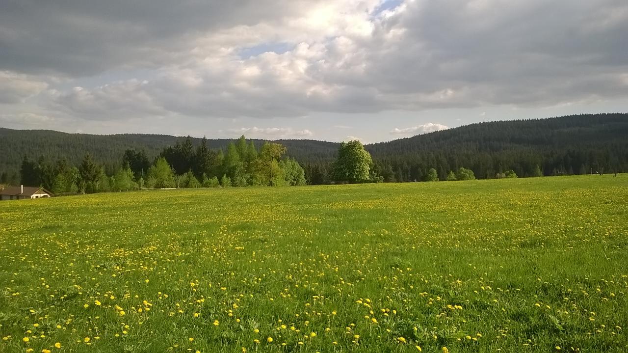 Apartment-Chalet-Chaloupka U Trnku Lazne Kynzvart Eksteriør billede